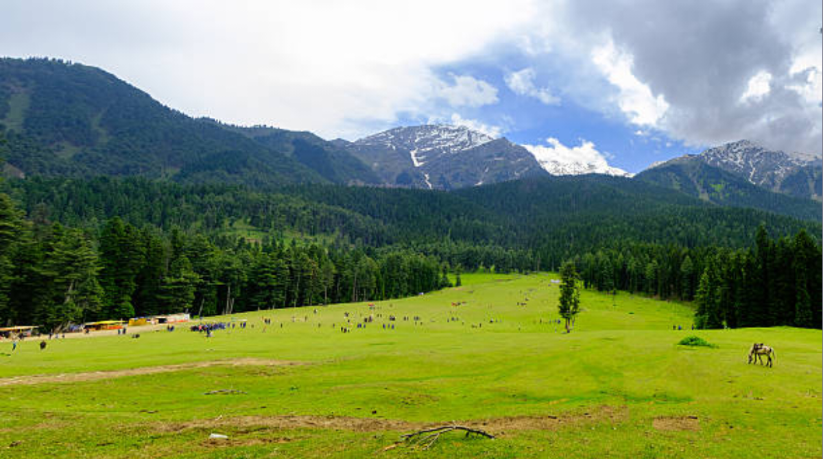 Aru Valley